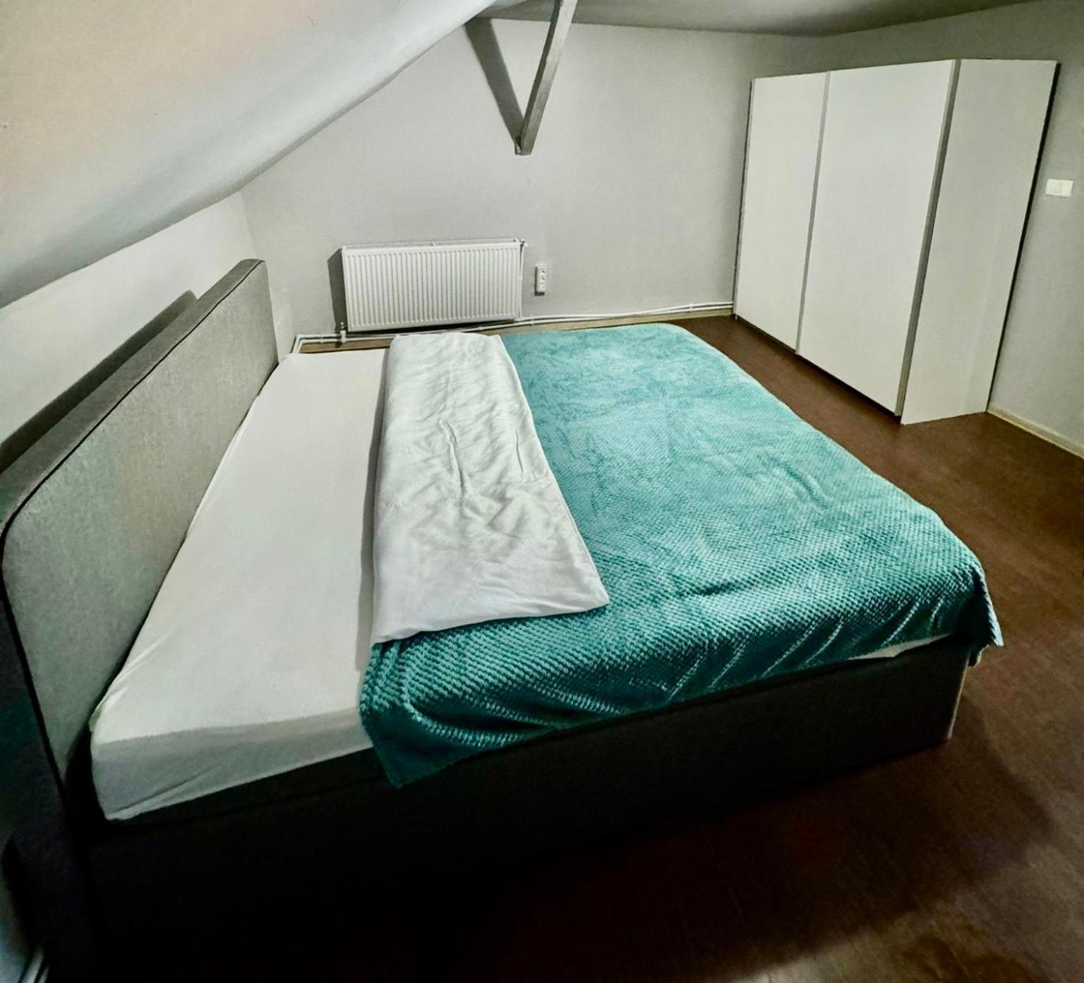 Bed and Breakfast Serbian House à Timişoara Extérieur photo
